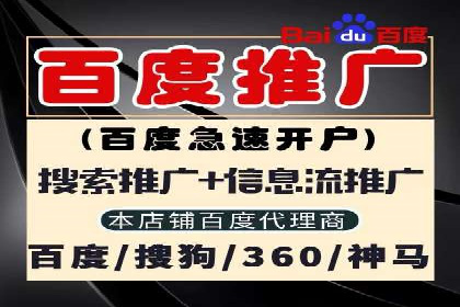 某某SEM公司助力企业实现营销目标——一则成功案例
